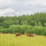 Rajska Polana Premium ,na Odludziu Z Prywatna Balia Z Jacuzzi I Sauna ,cisza,rowery Elektryczne,gory,astroprzygoda,- Adrspach, Skalne Miasto, Zamek Ksiaz,andrzejowka,karpacz, Sniezka,janskie Laznie,pec Ferienhaus