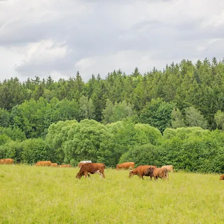Rajska Polana Premium ,na Odludziu Z Prywatną Balią Z Jacuzzi I Sauną ,cisza,rowery Elektryczne,góry,astroprzygoda,- Adršpach, Skalne Miasto, Zamek Książ,andrzejówka,karpacz, śnieżka,janskie Laznie,pec Dom wakacyjny