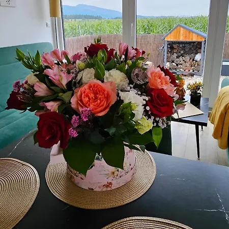 Rajska Polana Premium ,na Odludziu Z Prywatna Balia Z Jacuzzi I Sauna ,cisza,rowery Elektryczne,gory,astroprzygoda,- Adrspach, Skalne Miasto, Zamek Ksiaz,andrzejowka,karpacz, Sniezka,janskie Laznie,pec Tatil Evi Mieroszow