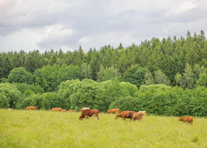 Rajska Polana Premium ,na Odludziu Z Prywatna Balia Z Jacuzzi I Sauna ,cisza,rowery Elektryczne,gory,astroprzygoda,- Adrspach, Skalne Miasto, Zamek Ksiaz,andrzejowka,karpacz, Sniezka,janskie Laznie,pec Tatil Evi
